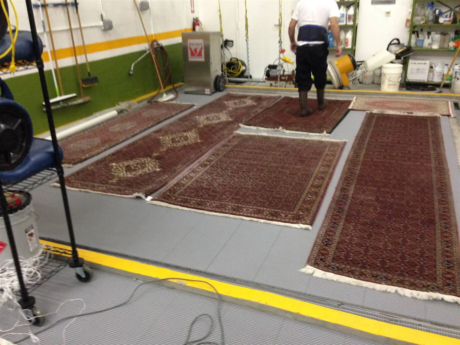 Persian rugs laid out across the wash floor of our Delray Beach shop